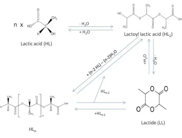 Figure  8  –  Lactic  acid  condensation  reactions-interchange  between  lactide,  oligomers,  and  poly(lactic  acide)