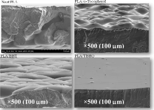 Figure 29 – SEM micrographs of fracture surfaces /surfaces of blends with 5 % of each antioxidant