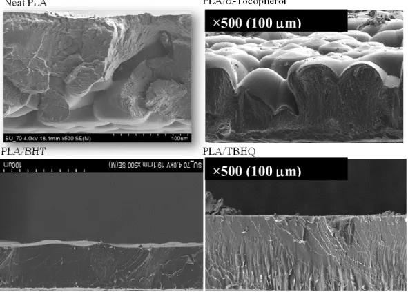 Figure 30 – SEM micrographs of fracture surfaces /surfaces of blends with 10 % of each antioxidant