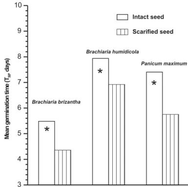 FIGURE 1.  Forage grass seed samples tested at the Central Seed Testing Laboratory, Campinas, Brazil, from 1991 to 1999