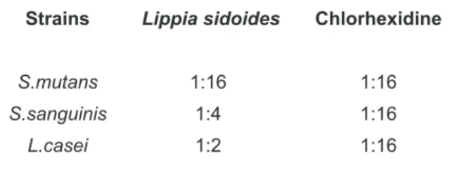 TABLE 1.  Comparative data of minimum inhibitory  concentration of adherence for extracts from  Lippia  sidoides  Cham., compared with 0.12% chlorhexidine  gluconate, against Streptococcus mutans,  Streptococcus sanguinis and Lactobacillus casei.