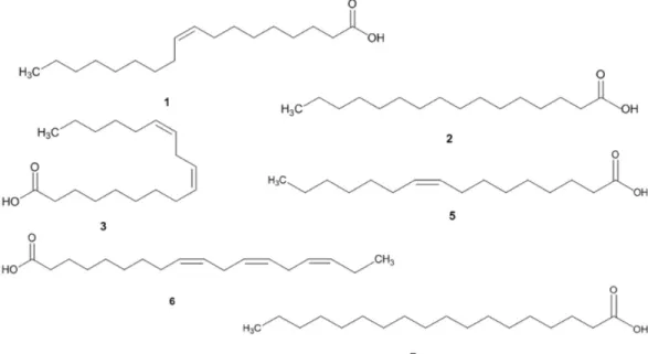 FIGURE 1. Structures of some fatty acids found in C. brasiliense.