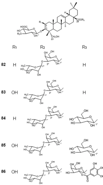 FIGURE 6. Structures of some triterpenoid present in the stem bark of C. villosum.