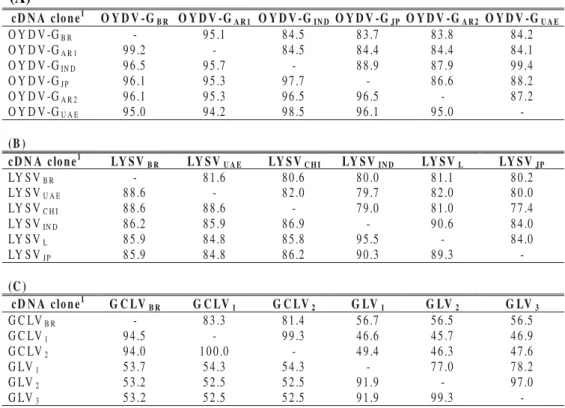 TABLE 1 - Pairwise percent identities of coat protein amino acid sequences (below diagonal) and coat protein nucleotide sequences (above diagonal) among related (A) Onion yellow dwarf virus (OYDV-G), (B) Leek yellow stripe virus (LYSV) and (C) Garlic commo