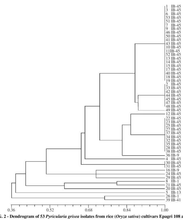 FIG. 2 - Dendrogram of 53 Pyricularia grisea isolates from rice (Oryza sativa) cultivars Epagri 108 and 109, constructed using UPGMA based an Jaccard’s similarity coefficients; data from Pot2  rep-PCR analysis; scale at the bottom represents coefficients o
