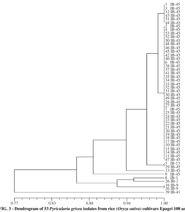 FIG. 3 - Dendrogram of 53 Pyricularia grisea isolates from rice (Oryza sativa) cultivars Epagri 108 and 109, constructed using UPGMA based an Jaccard’s similarity coefficients; data from phenotypic virulence analysis; scale at the bottom represents coeffic