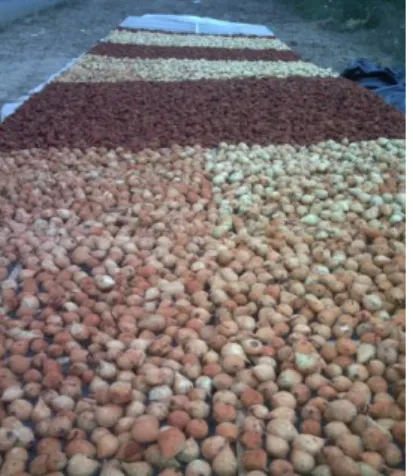 Figure 3. Types of flow in tunnels for convective drying. 