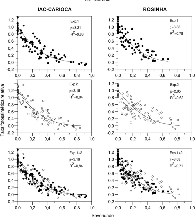 FIG. 1 – Relação entre a taxa fotossintética líquida relativa e a severidade do crestamento bacteriano comum nas cultivares de feijoeiro IAC-Carioca e Rosinha, em dois experimentos (Exp.1 e Exp.2) e no conjunto dos dois experimentos (Exp 1+2)