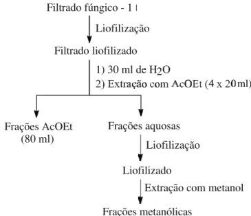 FIG. 1 - Fluxograma da extração dos filtrados fúngicos de Cunninghamella elegans, Fusarium  sp., Paecilomyces lilacinus e P