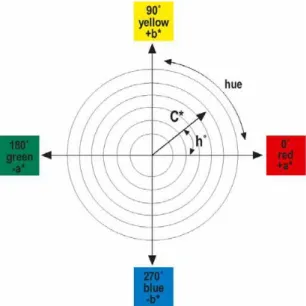 Figura 11 – Comparação entre o espaço CIELab e o espaço CIELch (10). 