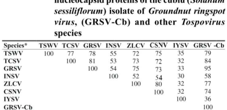 TABLE 1 - Percent amino acid homology among the nucleocapsid proteins of the cubiu (Solanum sessiliflorum) isolate of Groundnut ringspot virus, (GRSV-Cb) and other  Tospovirus species