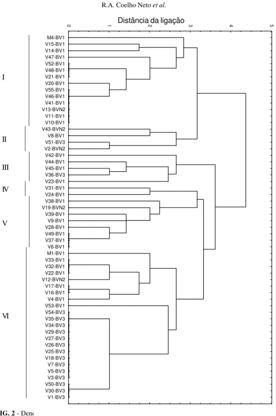 FIG. 2 - Dendrograma das distâncias de ligação entre 56 estirpes de Ralstonia solanacearum oriundas de diferentes hospedeiras e municípios do estado do Amazonas, com relação a sensibilidade a bacteriocinas produzidas por 23 estirpes.