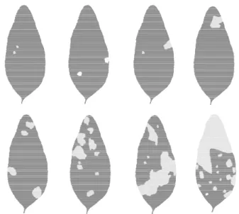 FIG. 2 - Escala diagramática de severidade da mancha foliar do eucalipto (Eucalyptus spp.) causada por Quambalaria eucalypti.