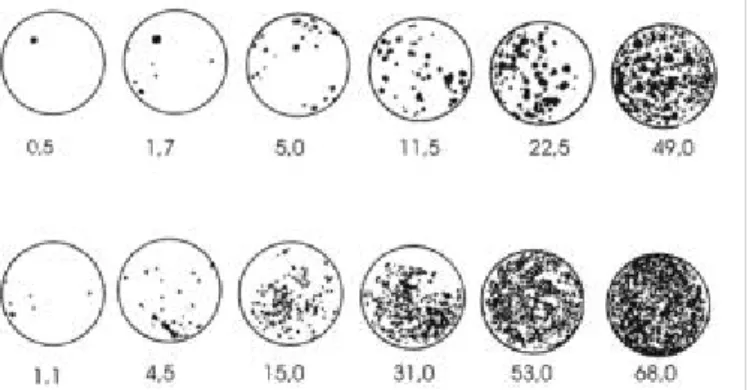 TABELA 1 - Estimativas de parâmetros e coeficientes de determinação (R 2 ) das equações de regressão linear calculadas entre severidade real e severidade estimada de mancha preta dos citros (Citrus spp.) realizadas por seis avaliadores individualmente e pa