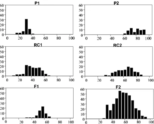 FIG. 1  - Distribuição de freqüência da porcentagem da área foliar com sintomas de mancha-bacteriana, causada por Xanthomonas campestris pv