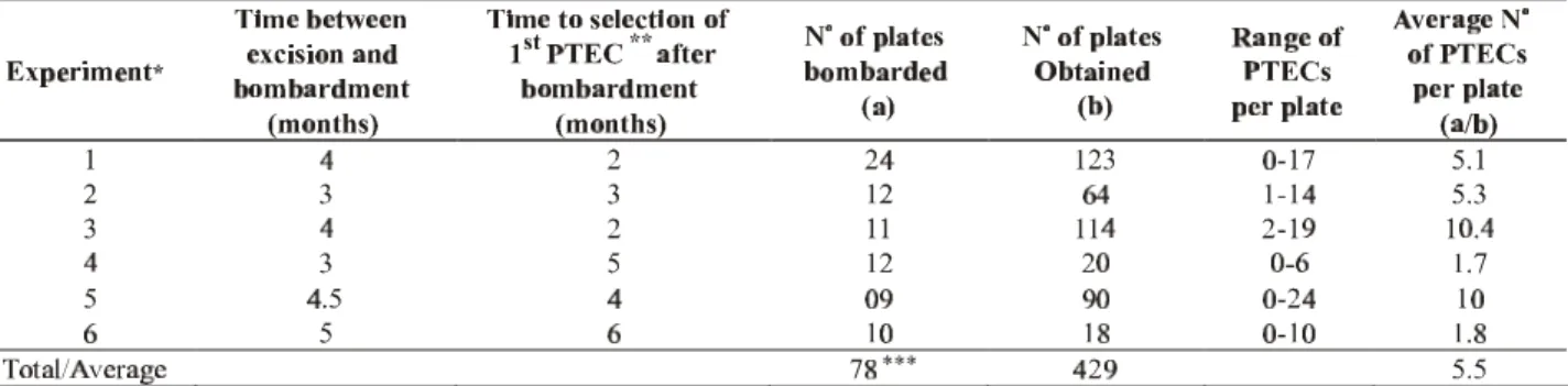 TABLE 1 - Summary of experiments performed in secondary somatic embryos of papaya ( Carica papaya) via the biolistic system, using different versions of the coat protein (cp) gene of  Papaya ringspot virus isolated from Brazil (PRSV BR)