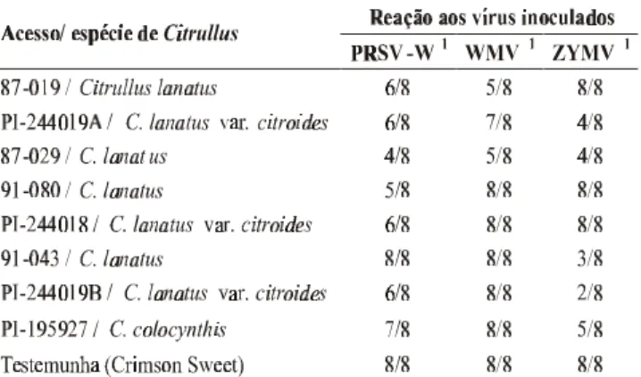 TABELA  1 - Reação de acessos de melancia (Citrullus lanatus, C. colocynthis e  C. lanatus var