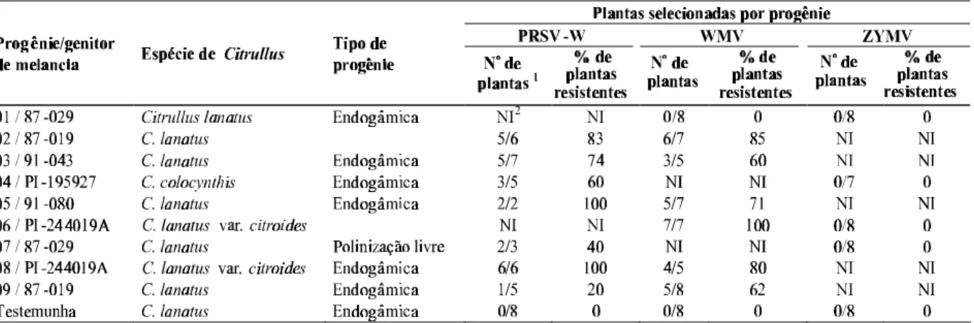 TABELA 3  - Percentagem de plantas de progênies de melancia (Citrullus lanatus, C. colocynthis  e C