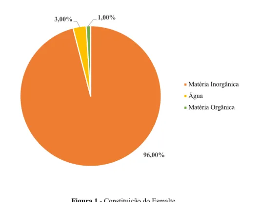 Figura 1 - Constituição do Esmalte 