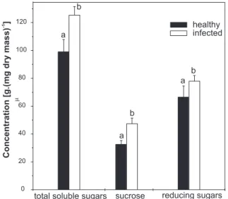 FIG. 6 - Carbohydrate contents in leaves of healthy and Sugarcane yellow leaf virus (ScYLV) infected sugarcane (Saccharum  spp.) plants.