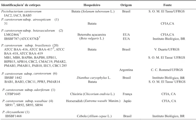 TABELA 1 - Estirpes de Pectobacterium sp. usadas neste estudo. Porto Alegre, 2004