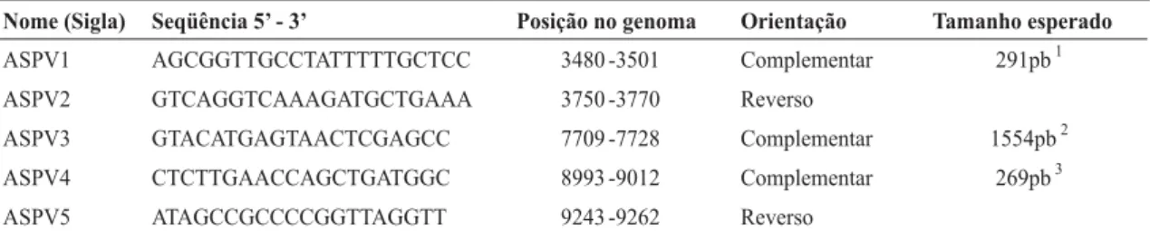TABELA 1 - Oligonucleotídeos usados para detecção do isolado BR1 do Apple stem pitting virus, posição no genoma e tamanho esperado dos fragmentos