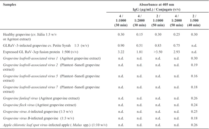 TABLE 1 - Results of DAS-ELISA (absorbance values at 405 nm) from grapevine (Vitis spp.) samples using antiserum against GLRaV-3  fusion protein, expressed in Escherichia coli cells