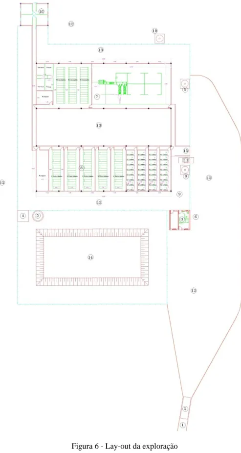 Figura 6 - Lay-out da exploração
