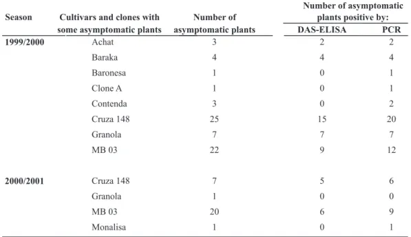 TABLE 4 – Number of potato plants positive for Ralstonia solanacearum but from potato cultivars and clones  asymptomatic for bacterial wilt when planted in two growing seasons (1999/2000 and 2000/2001)  in an area  naturally  infested  with  Ralstonia sola