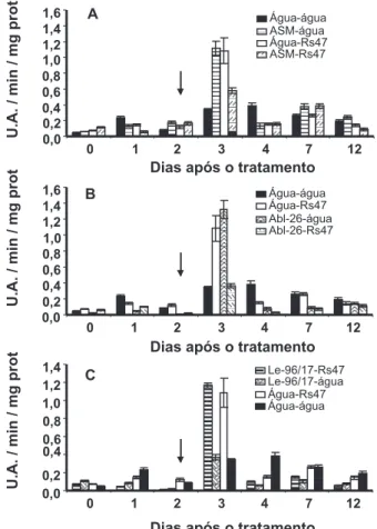 FIG.  1  –  Atividade  de  peroxidase  em  resposta  a  aplicação  de  ASM (A) e dos extratos aquosos de  Agaricus blazei  Abl-26 (B) e  de Lentinula edodes Le-96/17 (C) nas folhas de tomateiro