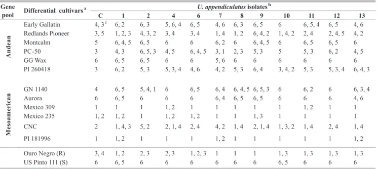 TABLE 1 - Infection degrees of common bean cultivars belonging to the international rust differential series (Steadman  et al