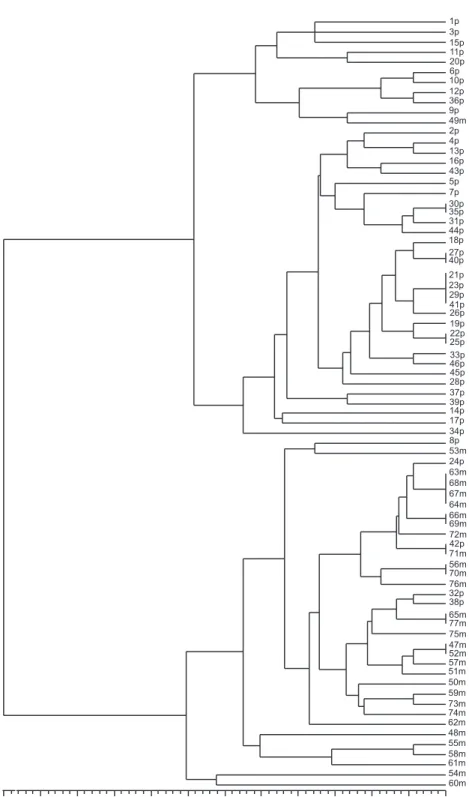 FIG. 2 - Phenogram of 77  Pyricularia grisea  isolates from rice cultivars Primavera and  Maravilha, constructed using UPGMA based on Simple Match’s similarity coefficients; 
