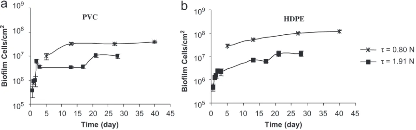 Fig. 4 – Attached cells per unit surface area of the biofilm grown on PVC in RUN 1: (a) total cells; (b) metabolically active cells and (c) R 2 A—cultivable cells.