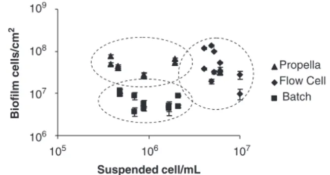 Fig. 6. Two factors may explain this behaviour: firstly, the average temperature is higher in the Flow Cell; secondly, although equal water velocities were used in the Propella s and Flow Cell reactors, the Reynolds number was 25% higher in the Flow Cell s