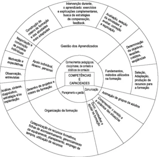 Figura 12: Os campos de competência do formador. 