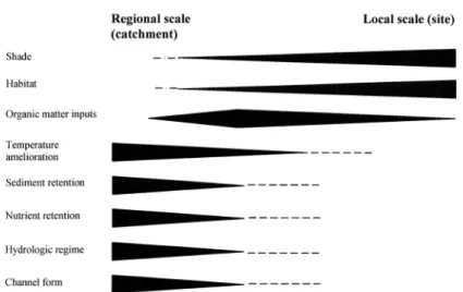 Figure 4. Theoretical influence exerted by the terrestrial vegetation, at the regional and local scale, on the structure and functio- functio-ning of aquatic ecosystems (adapted from Allan et al., 1997)