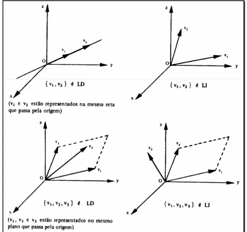 Figura 9 – Vetores LD e LI 