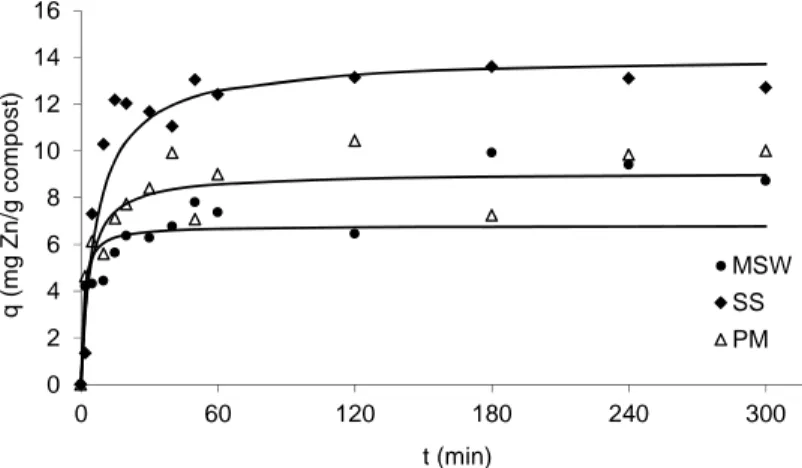 Fig. 2. Amount of Zn sorbed on 1 g (q) of compost over time; 