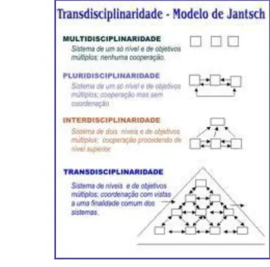 Figura 11- Classificação das relações entre disciplinas estabelecidas por Jantsch  124