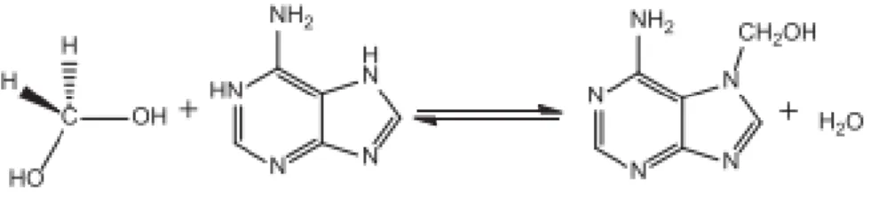 Figure 9: Reaction between the formalin and the adenine base (adapted from Leal et al, 2016)