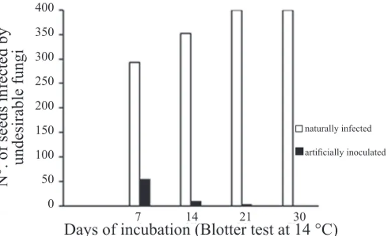 Figure 1. Number of seeds with other undesirable fungi  observed by the Blotter Test method, at 7 ºC,  correlated to days of incubation found in soybean  seed samples harvested in areas naturally  infested with the white mold disease and one  sample  artif
