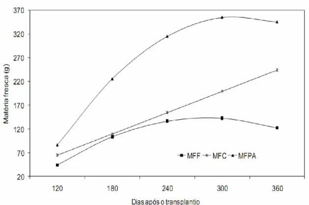 FIGURA 3. Matéria seca da parte aérea (MSPA) e teor de óleo essencial (T) em função da época de colheita do alecrim-pimenta (Lippia sidoides Cham.), cultivado em Montes Claros - MG.