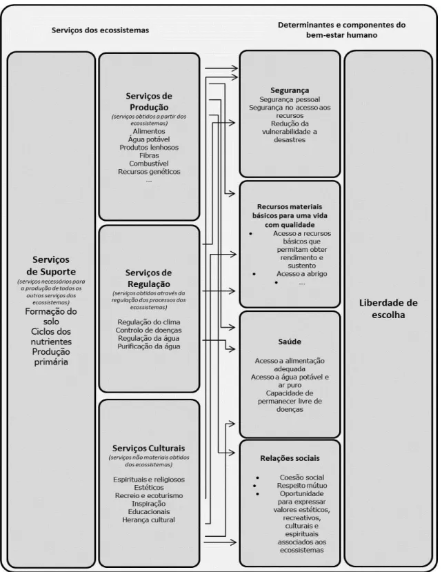 Figura 1 - Relações entre os serviços dos ecossistemas e o bem-estar humano. Adaptado de Pereira et al.,  2009