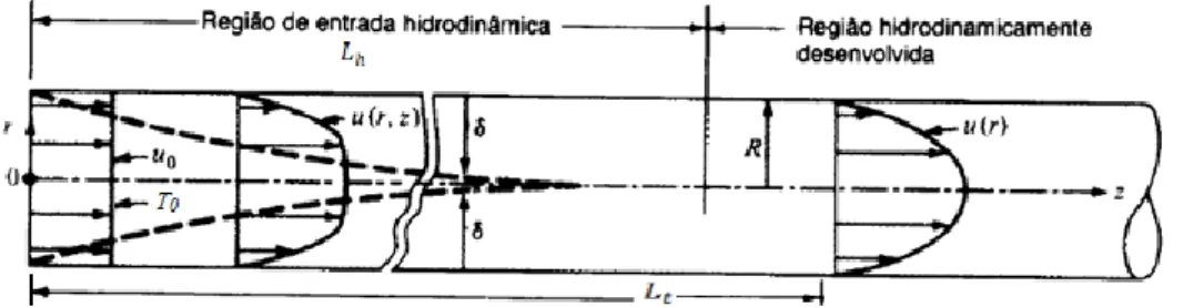 Figura  2.1  –  Representação  dos  comprimentos  da  entrada  hidrodinâmica  e  térmica (adaptado de Porte, 2007)