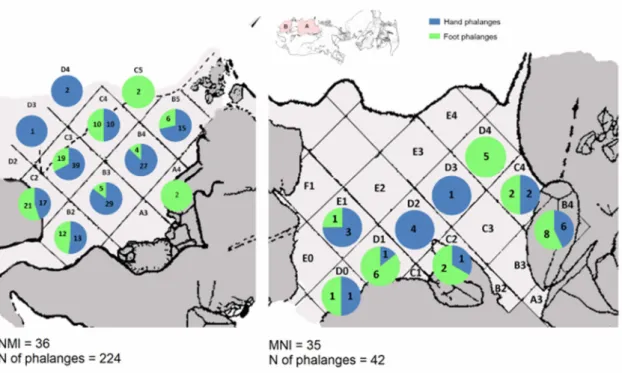 Figure 3 - Frequency and dispersion of human hand and foot distal phalanges in Rooms A and B of the Bom Santo  Cave
