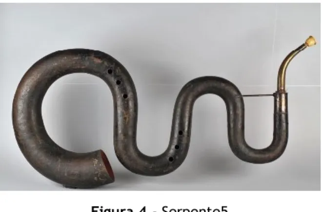 Figura 4 - Serpente5 