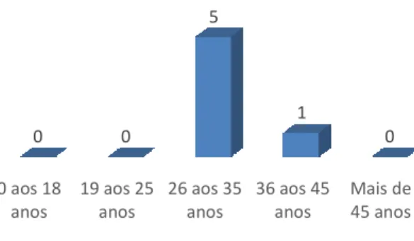 Figura 13 – Idade dos Professores 