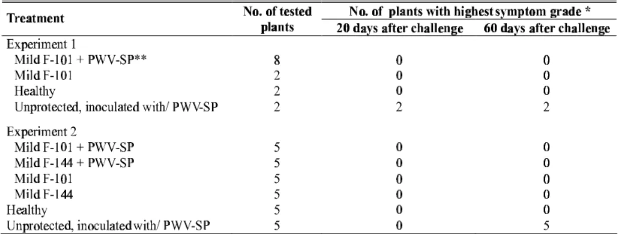 TABLE 1 - Number of sunnhemp (Crotalaria juncea)  plants, in two independent experiments in a greenhouse, taking into account the severity of symptoms in two phases of protection evaluation with mild strains of  Passion fruit woodiness virus  (PWV)