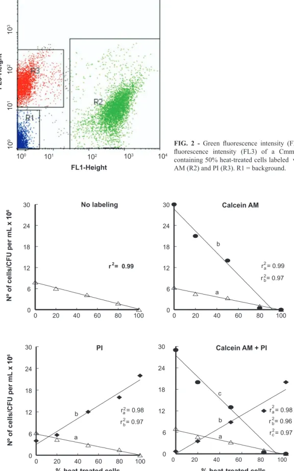 FIG.  2  -   Green  fluorescence  intensity  (FL1)  and  red  fluorescence  intensity  (FL3)  of  a  Cmm  population  containing 50% heat-treated cells labeled  with Calcein  AM (R2) and PI (R3)