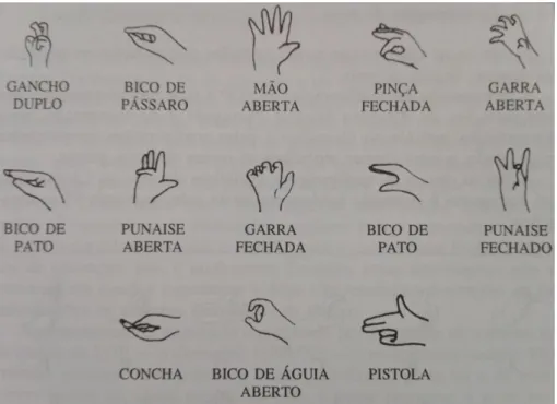 Figura 1 – Algumas configurações da mão em LGP (Amaral et alii, 1994: 70). 